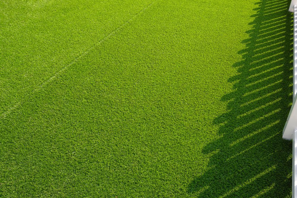 Bright Green Turf With Fence Shadow — Northern Rivers Acreage Mowing in Ballina, NSW