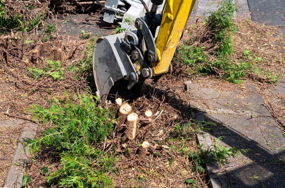 Mini Excavator Removing Tree Stumps From A Grassy Area Next To A Sidewalk — Northern Rivers Acreage Mowing in Pimlico, NSW