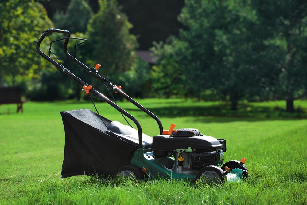 Lawnmower On Green Grass In A Yard — Northern Rivers Acreage Mowing in Pimlico, NSW