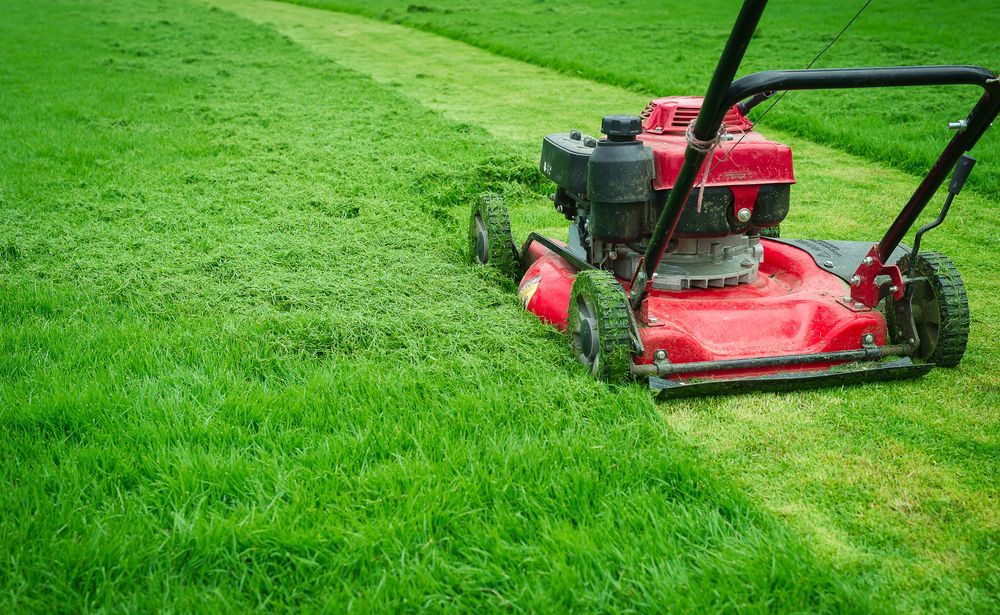 Red Lawnmower Cutting Grass In A Green Field — Northern Rivers Acreage Mowing in Pimlico, NSW