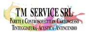 TM Service logo