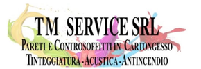 TM Service logo
