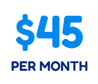 Blue “$45” with “PER MONTH” beneath it on a white background.