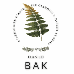 Logo di David Bak con ramo di felce e testo circolare su sfondo bianco.