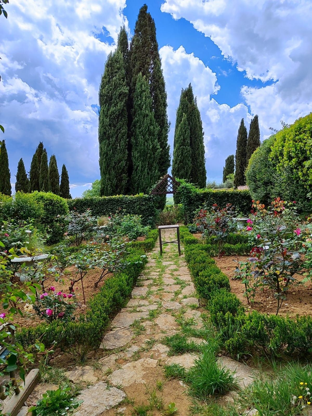 Sentiero di pietra che attraversa un colorato giardino fiorito con alti cipressi sotto un cielo azzurro brillante.