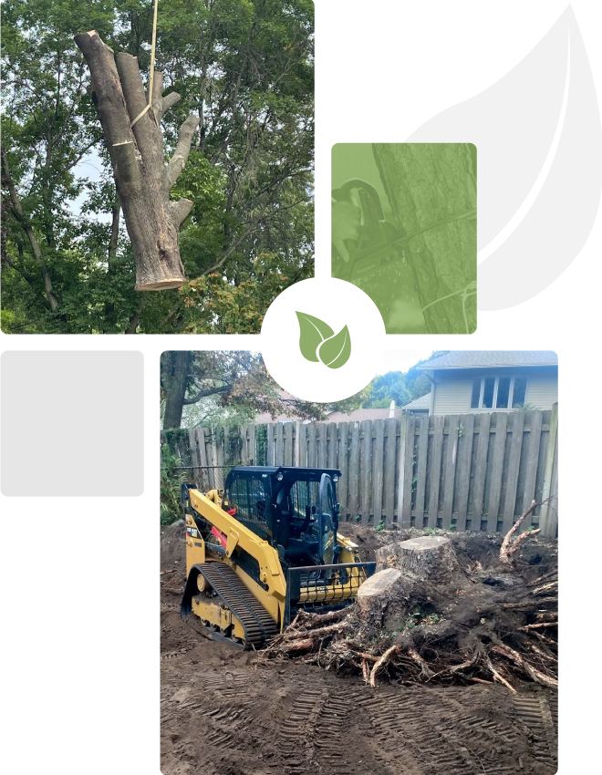 St. Paul's Tree Service NWI Tree Care 6515048387