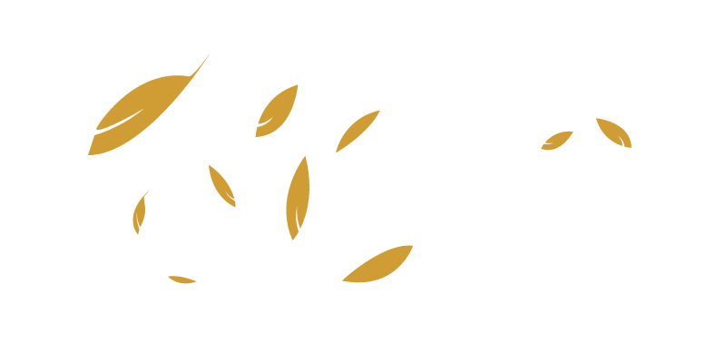 Miscelánea