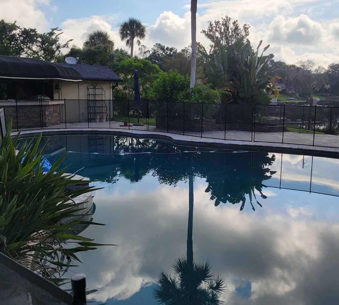 A large swimming pool with a fence around it and palm trees in the background.