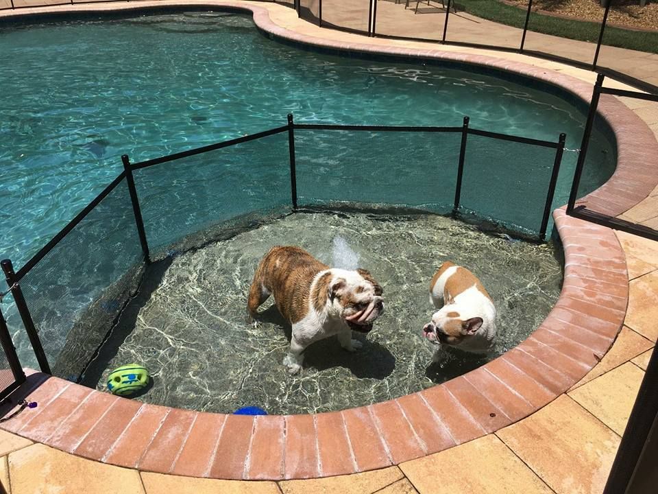 Pool Guard Of Greater Orlando