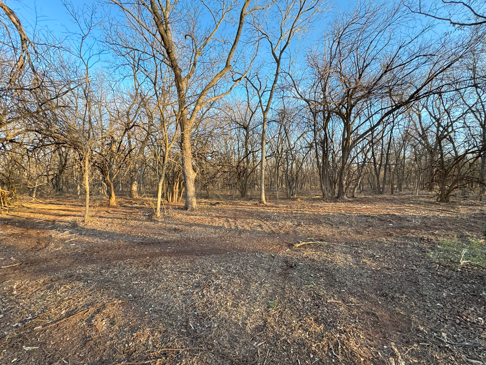 Underbrush Removal Services in Oklahoma