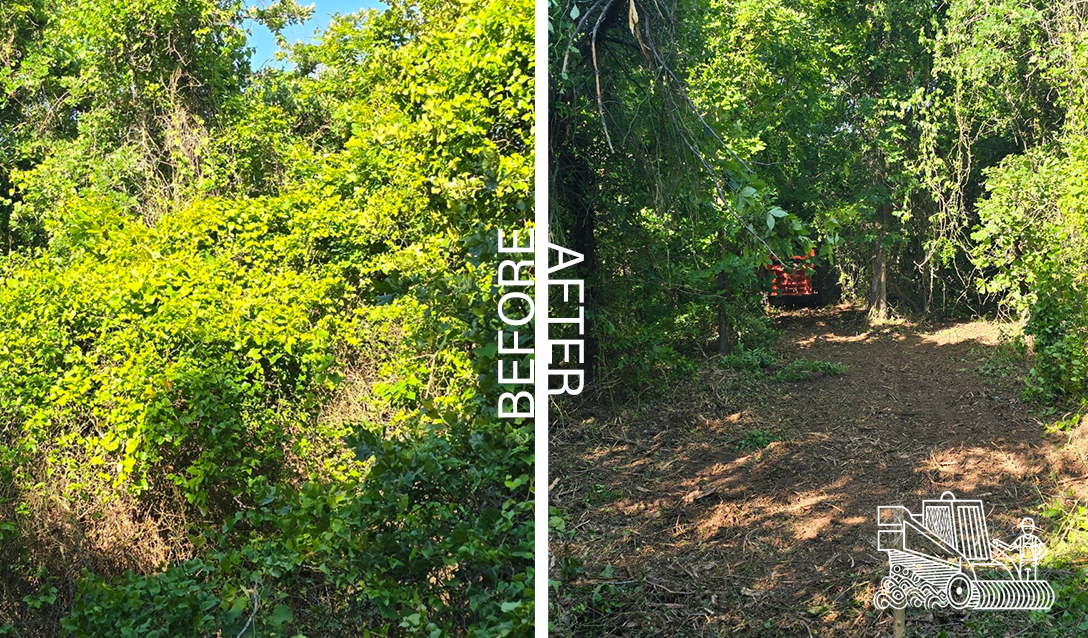 Before and After mulching images