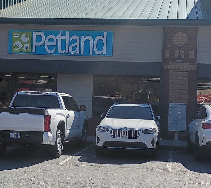 Petland storefront with parked white vehicles in front under bright daylight
