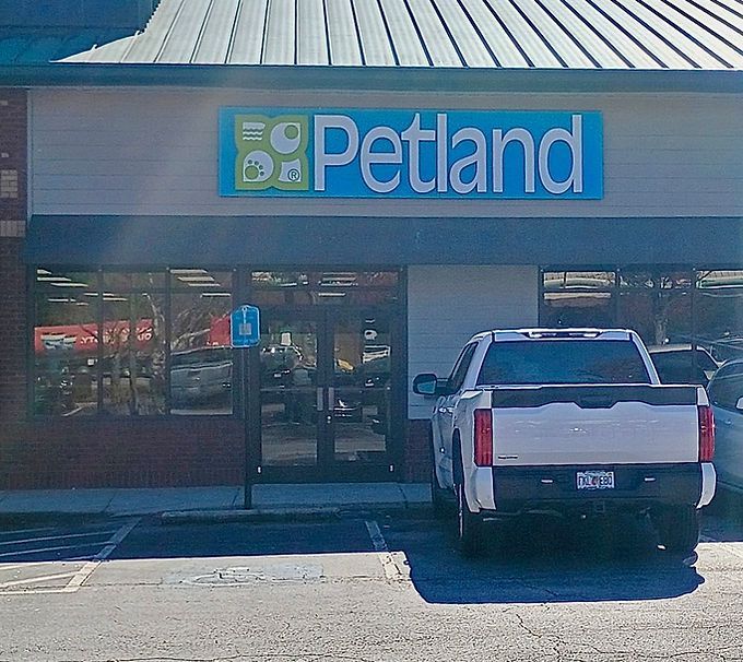 Petland storefront with blue sign and a white pickup truck parked outside