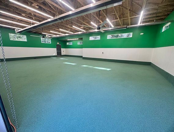 Empty indoor sports room with green walls, white trim, and a blue carpeted floor under exposed ceiling beams