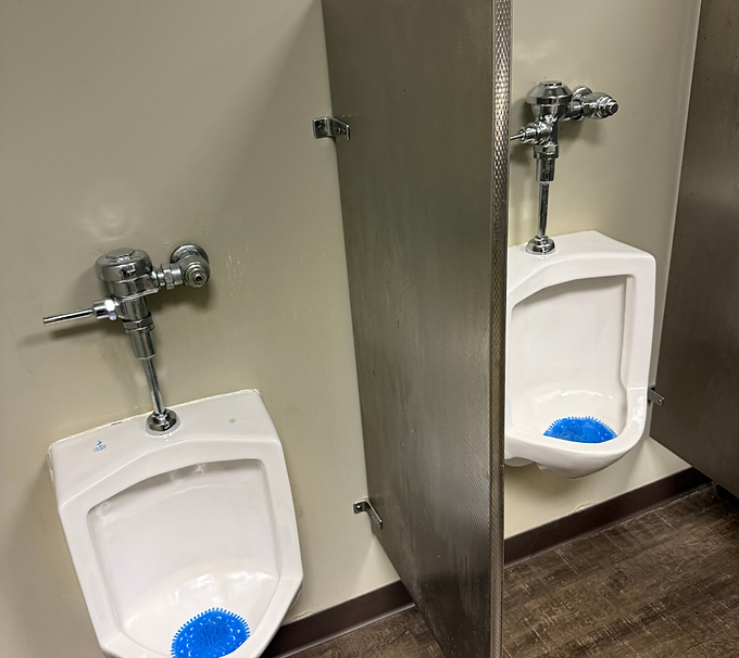 Two white urinals in a restroom, separated by a gray privacy divider, with blue deodorizer blocks.
