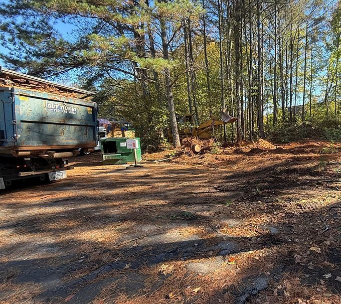Wooded campsite with a truck, green utility box, and a cleared dirt area in sunlight