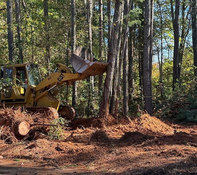 Yellow excavator clearing a wooded area, pushing dirt and tree roots in a forest clearing