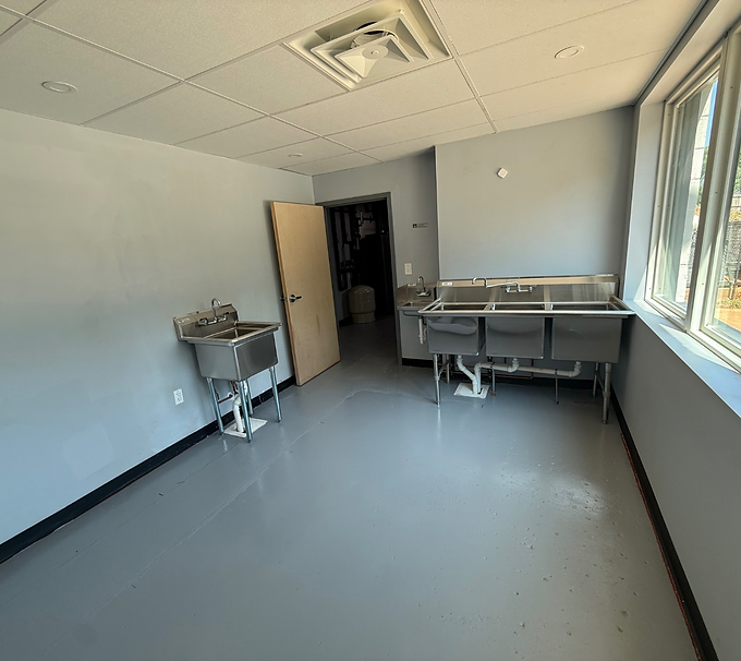 Empty clinical room with stainless sinks, gray floor, open door, and large windows letting in daylight