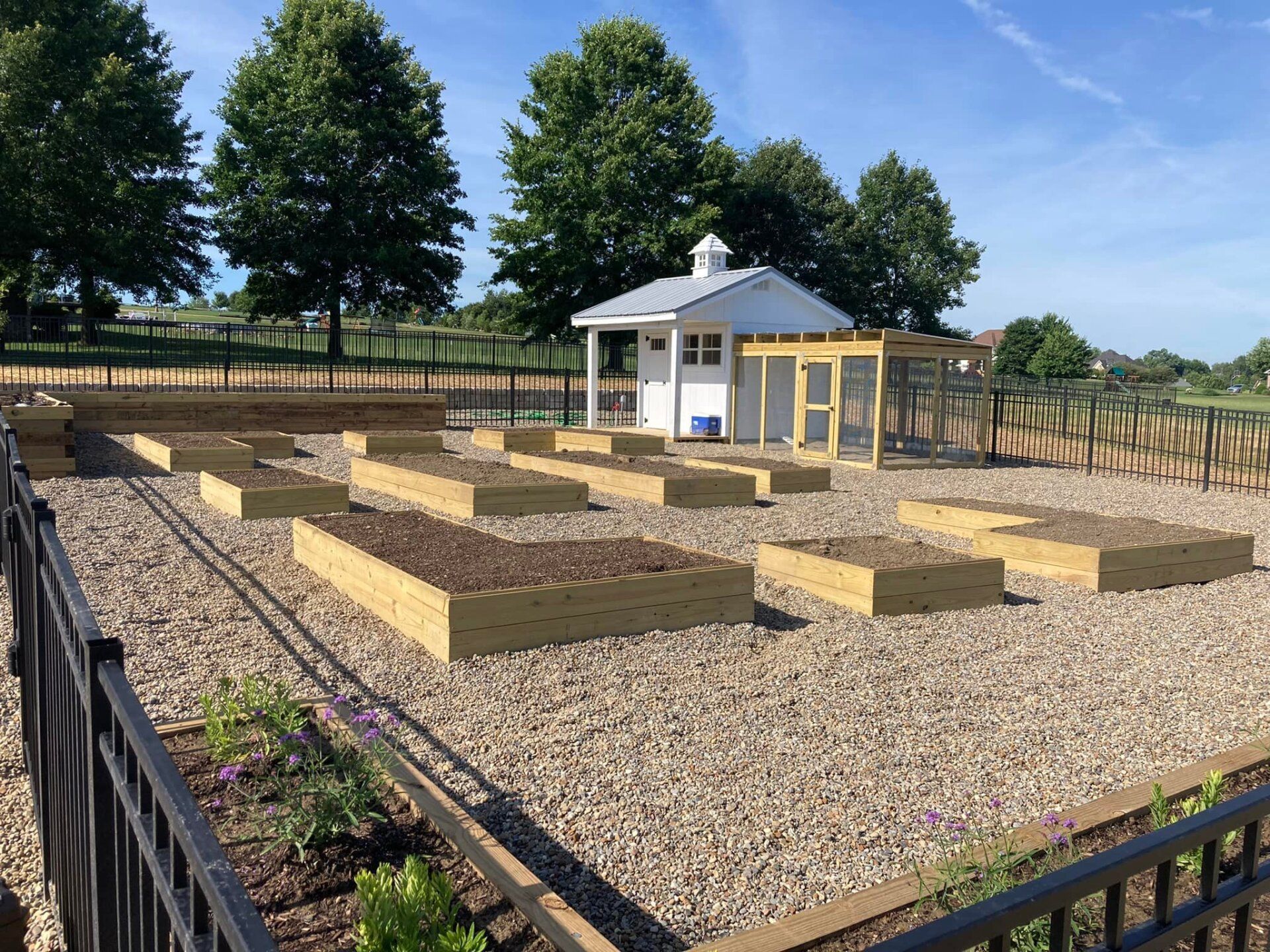 Raised garden beds and a chicken coop within a fenced area, under a blue sky.