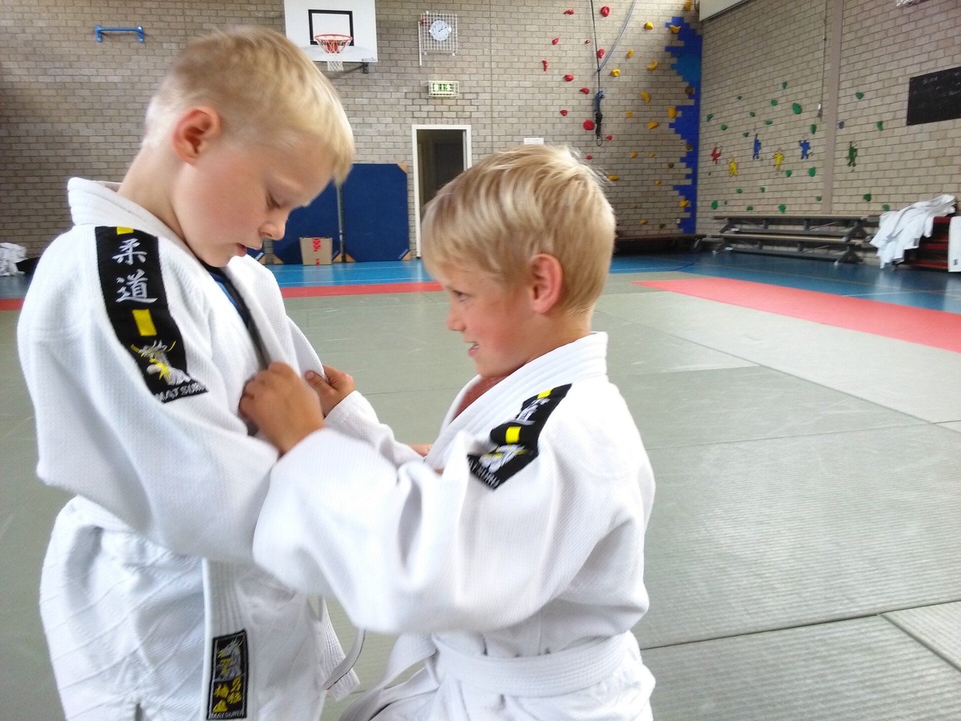 judo op school
