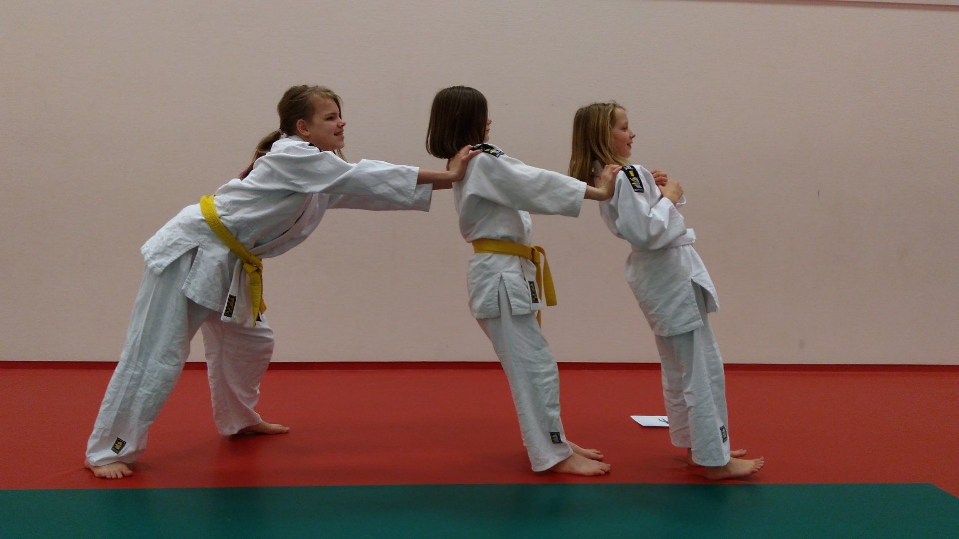 judovereniging