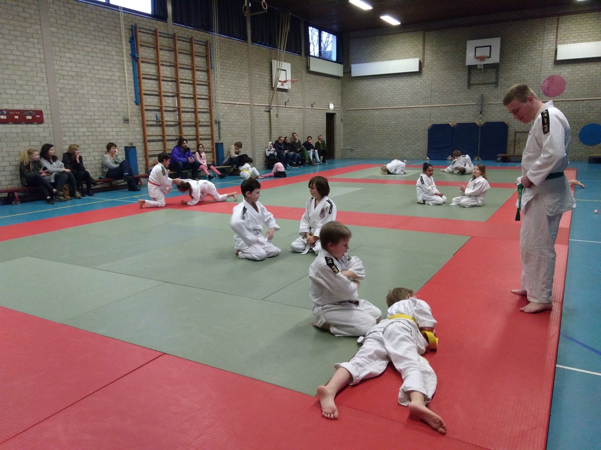 judo op school