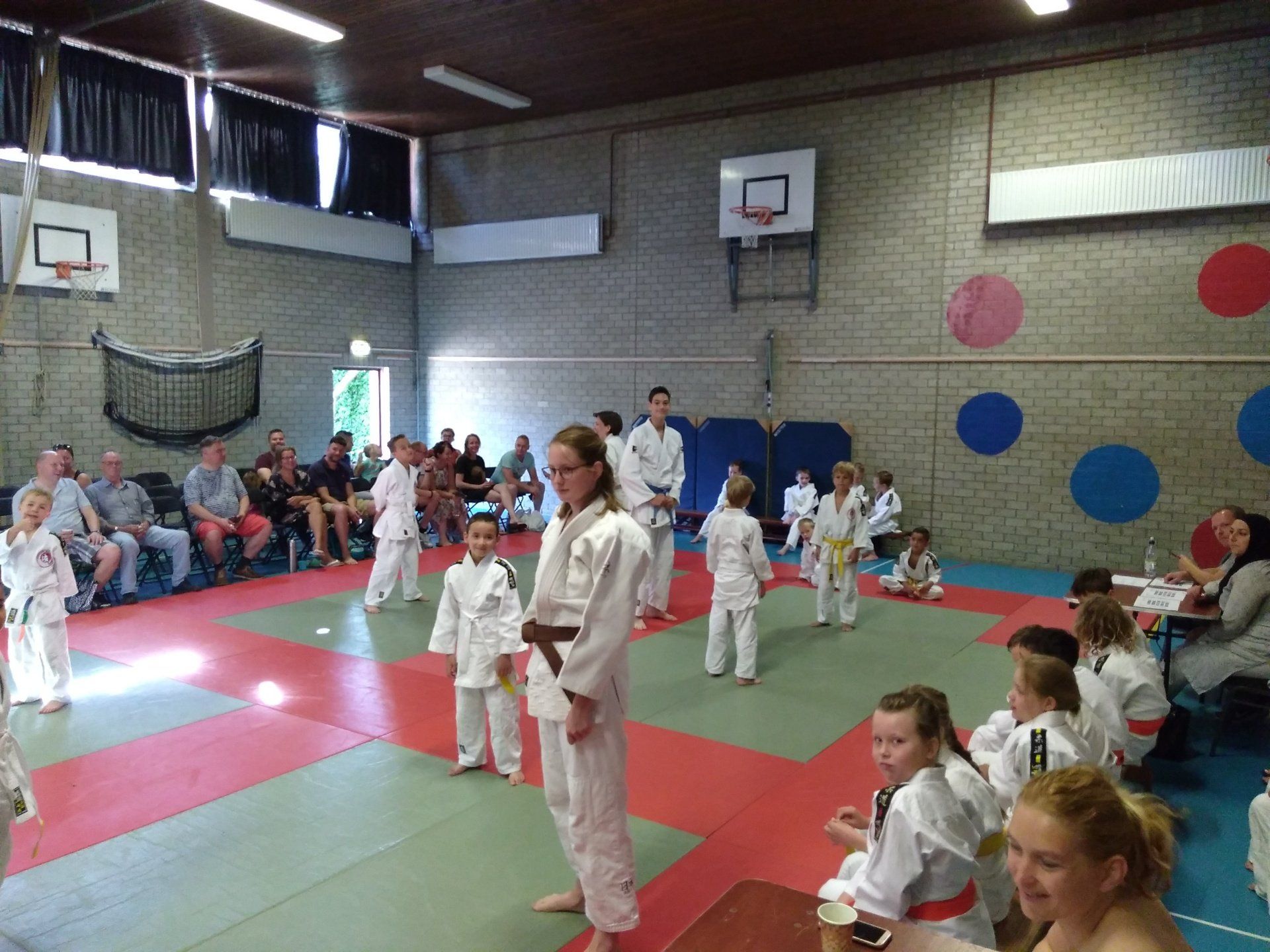 judo