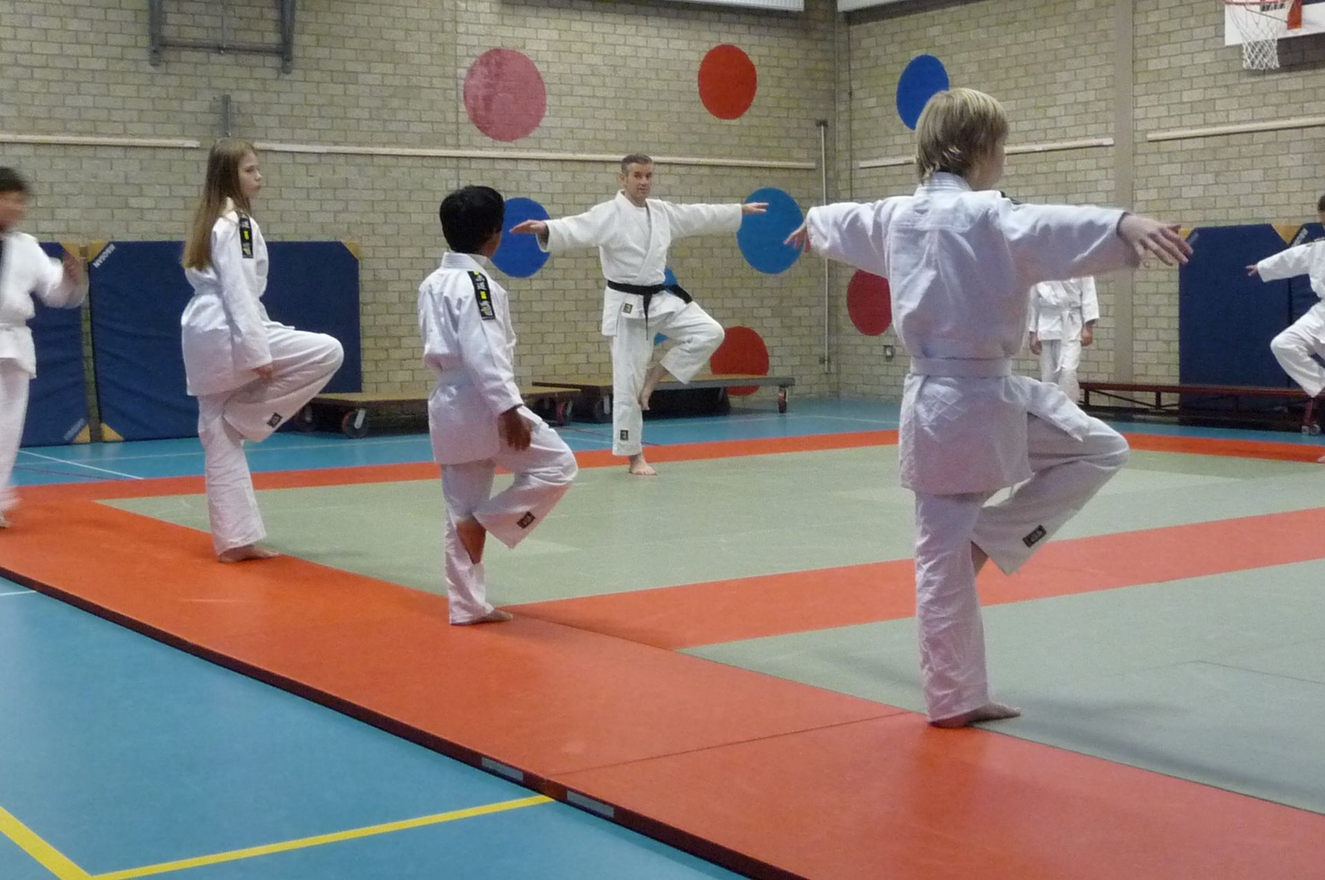 judo