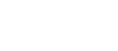 Nonsolo gas logo