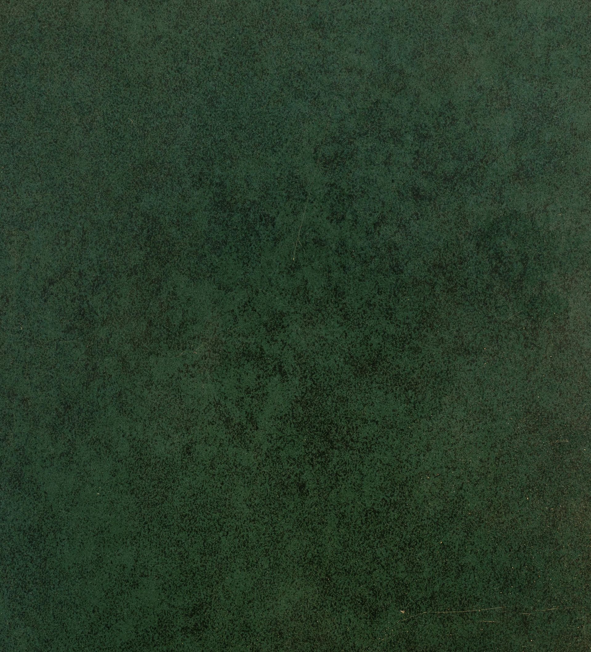 Dark green textured surface.