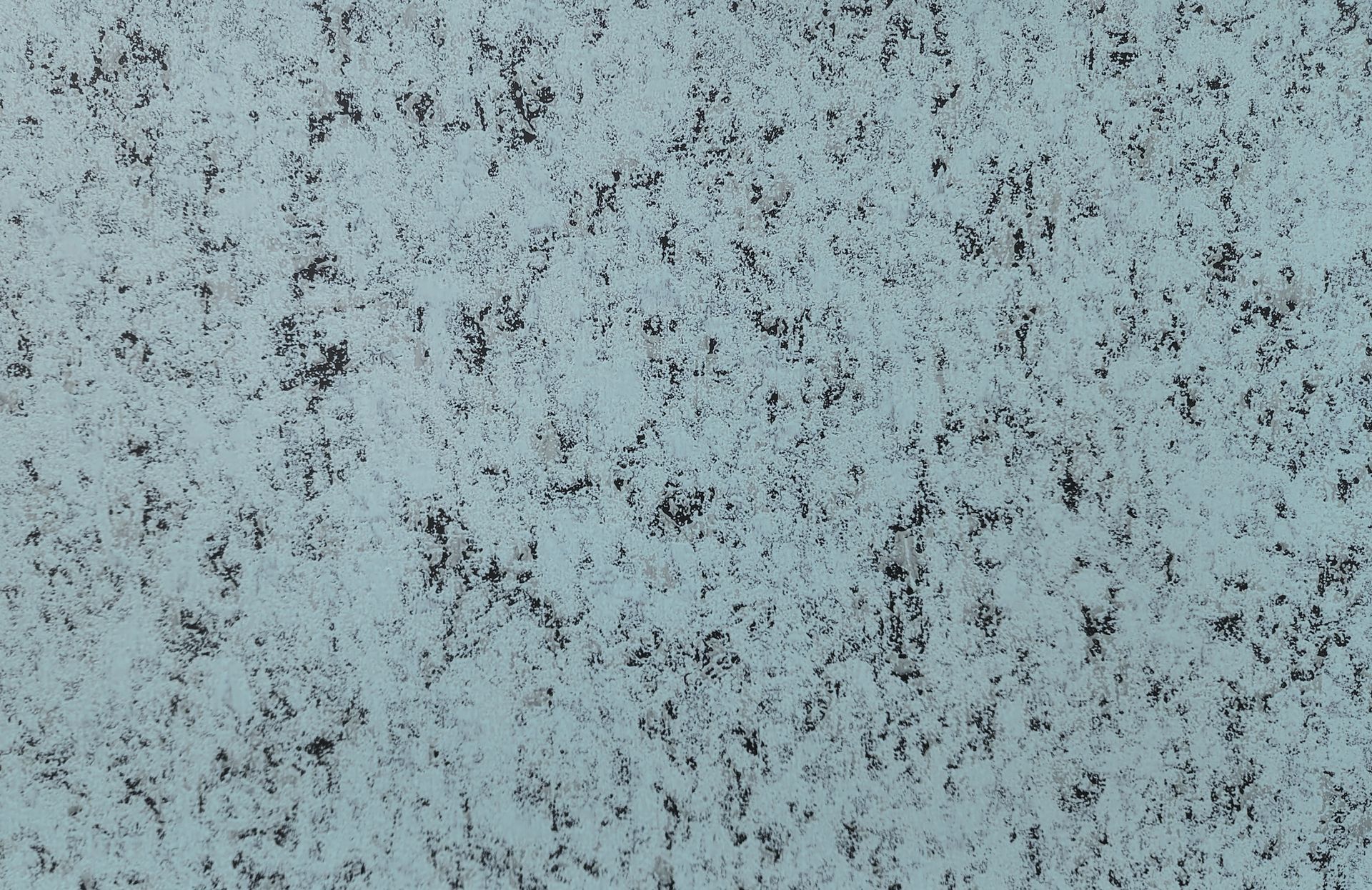 Textured, light blue surface with dark gray speckles.