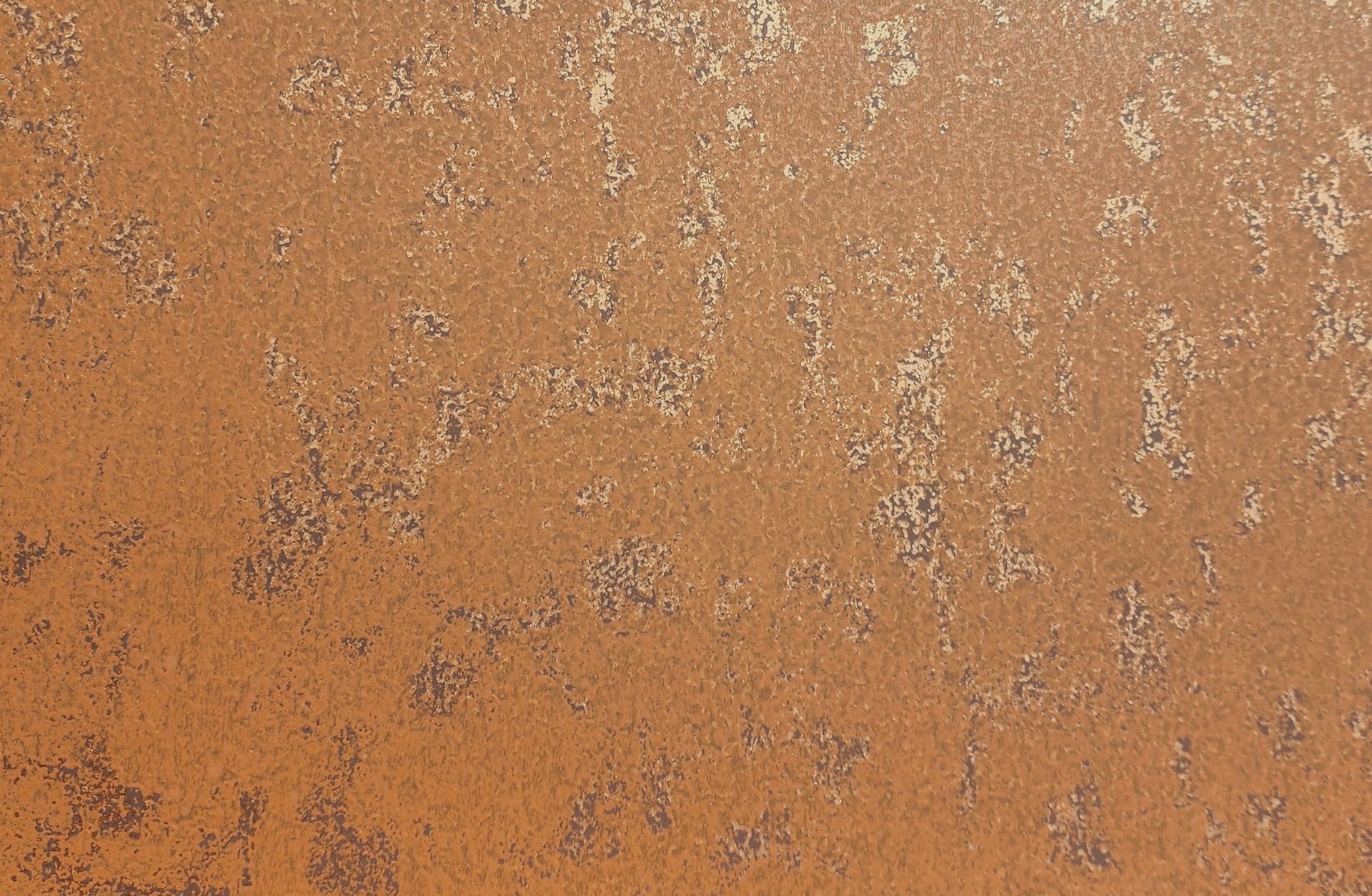 Orange-brown textured surface with speckled white and gray patches.