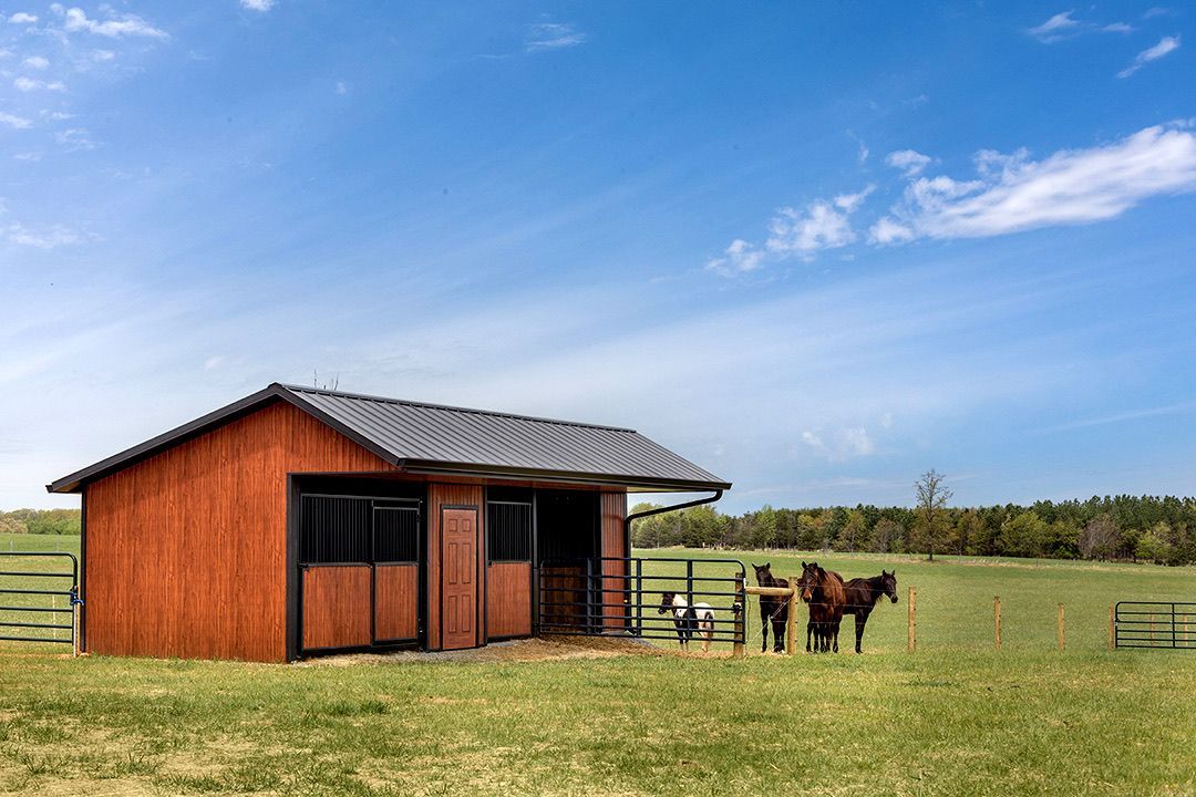 Red horse shed in a grassy field with horses, under a blue sky with some clouds.