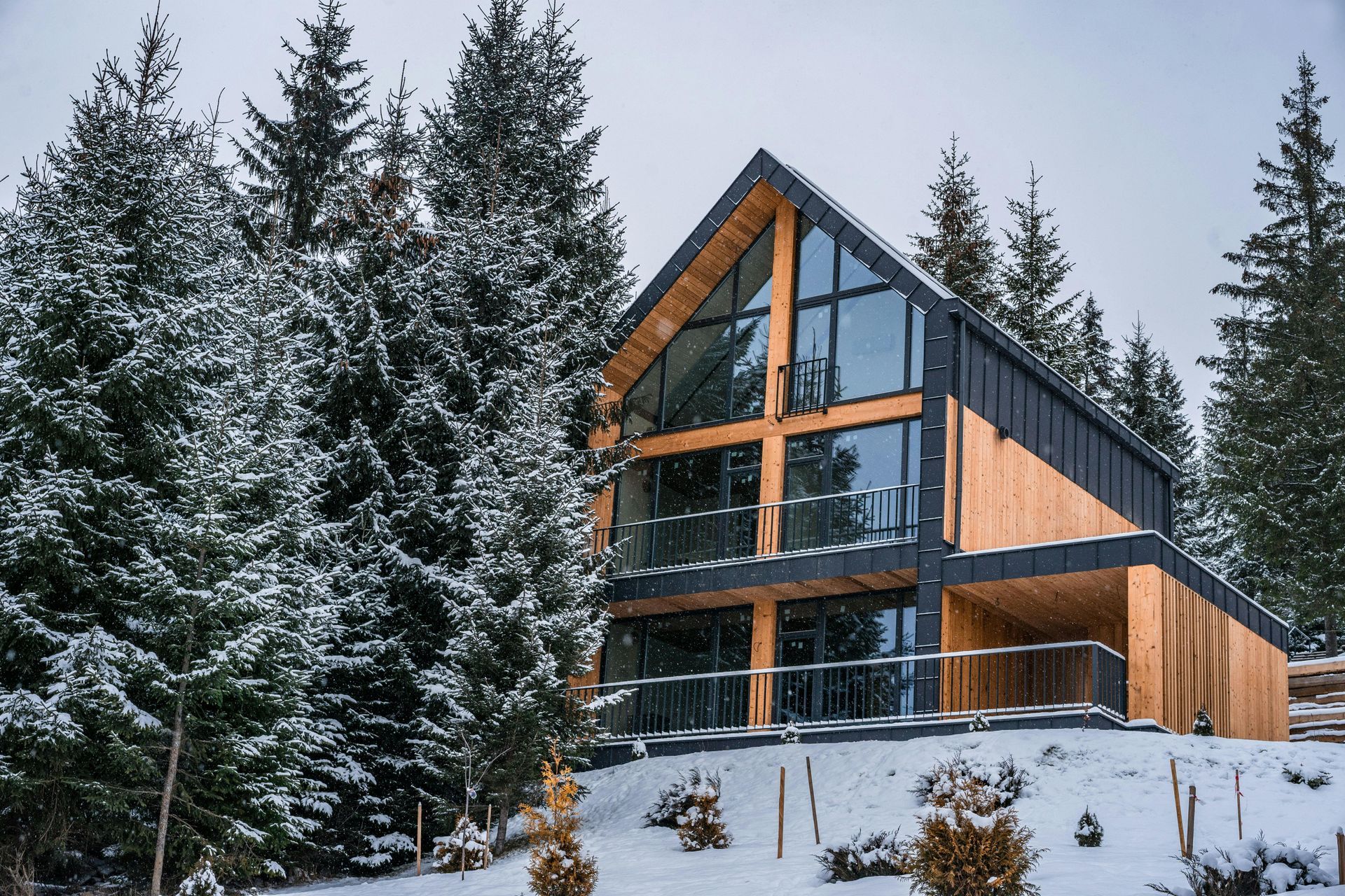 Snow-covered modern cabin with large windows and tall pine trees in a winter forest in Central PA