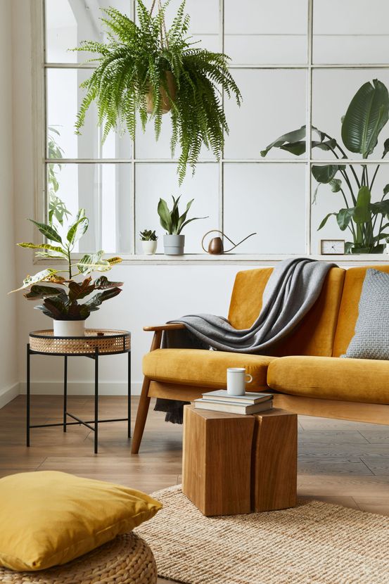 Living Room Image
