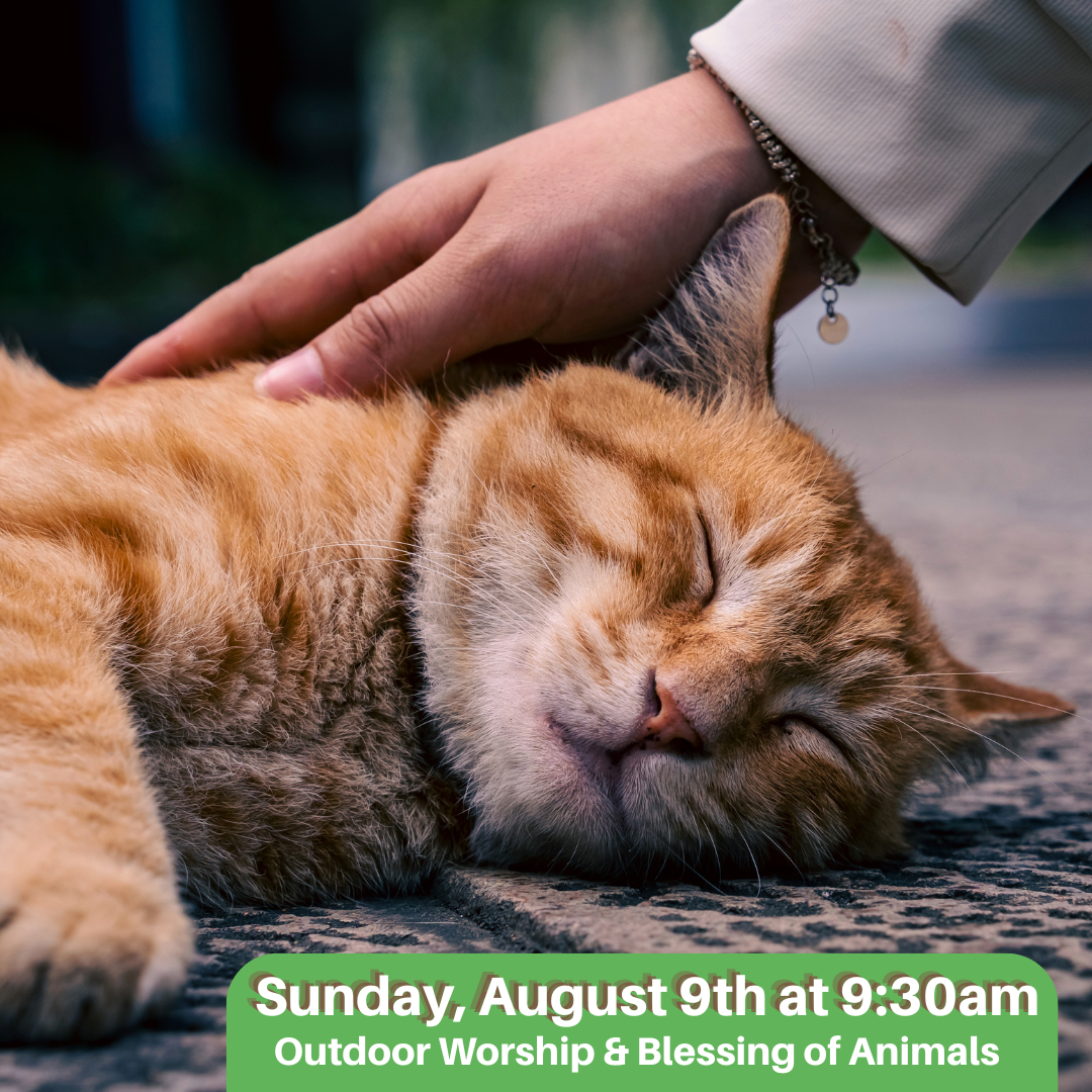 Outdoor Worship & Blessing of Animals August 9th