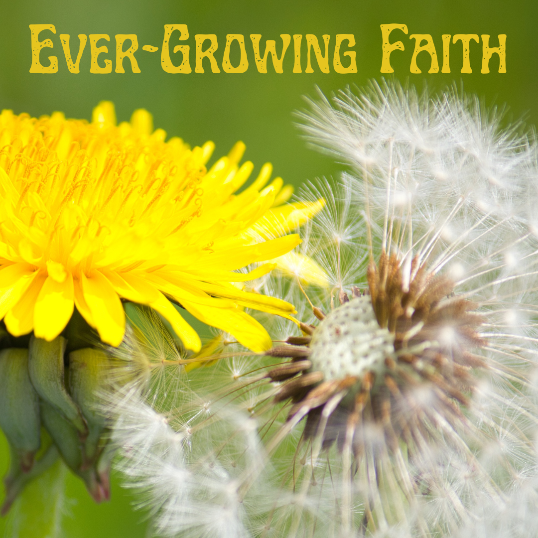 Ever -growing Faith logo with yellow and seeded dandel