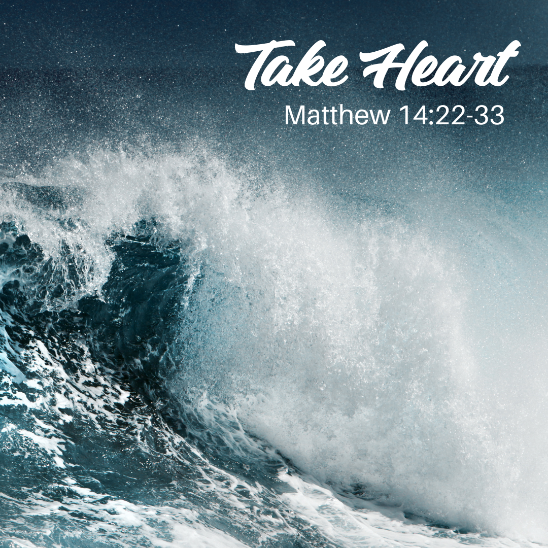 Going to Seed worship series through July 19th