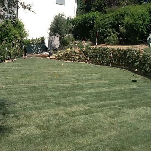 Giardino con siepi