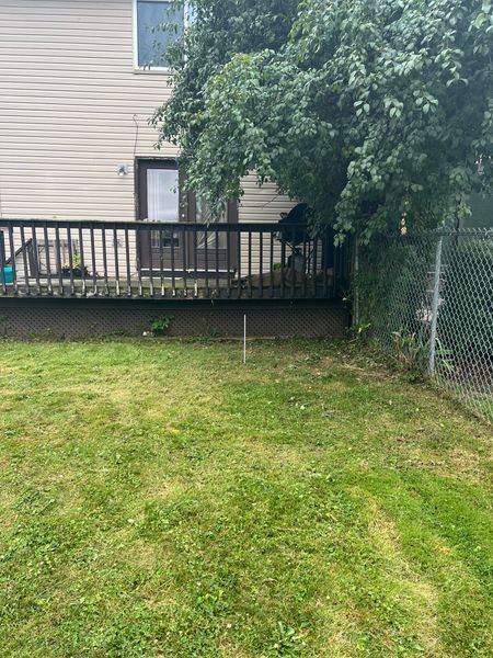 Backyard lawn with a wooden deck, beige house exterior, and a chain-link fence beside a tree
