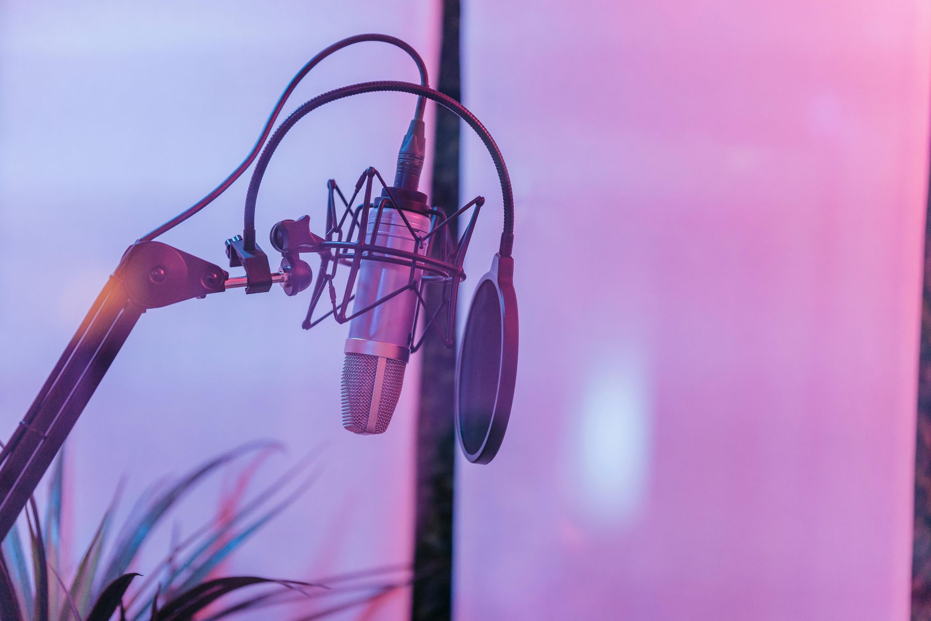 Microfoon met popfilter op een statief in een opnamestudio, verlicht met paars en roze licht.