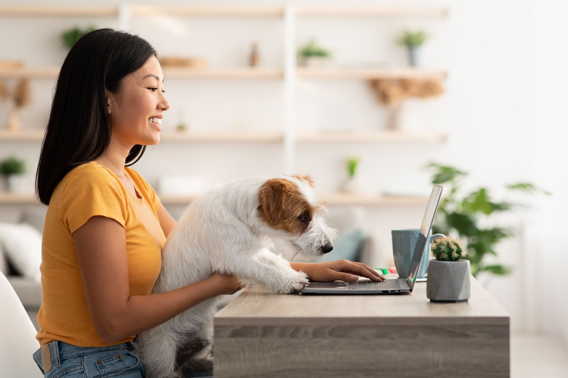 Pet Ownership