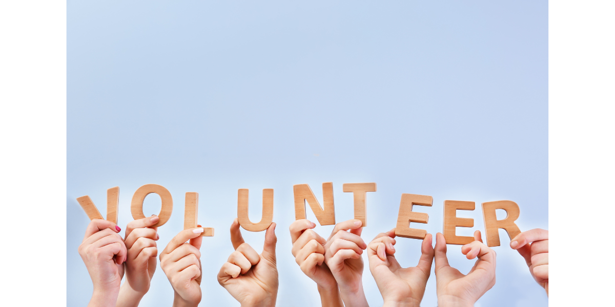 volunteer background check