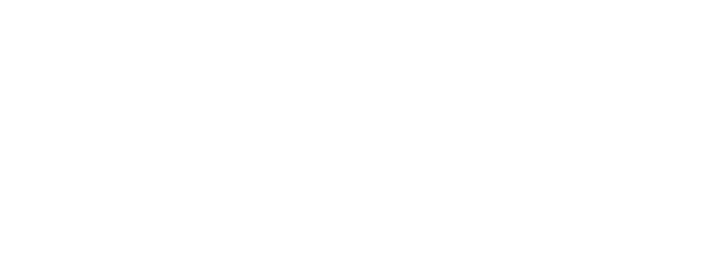 Expert Cleaning Services