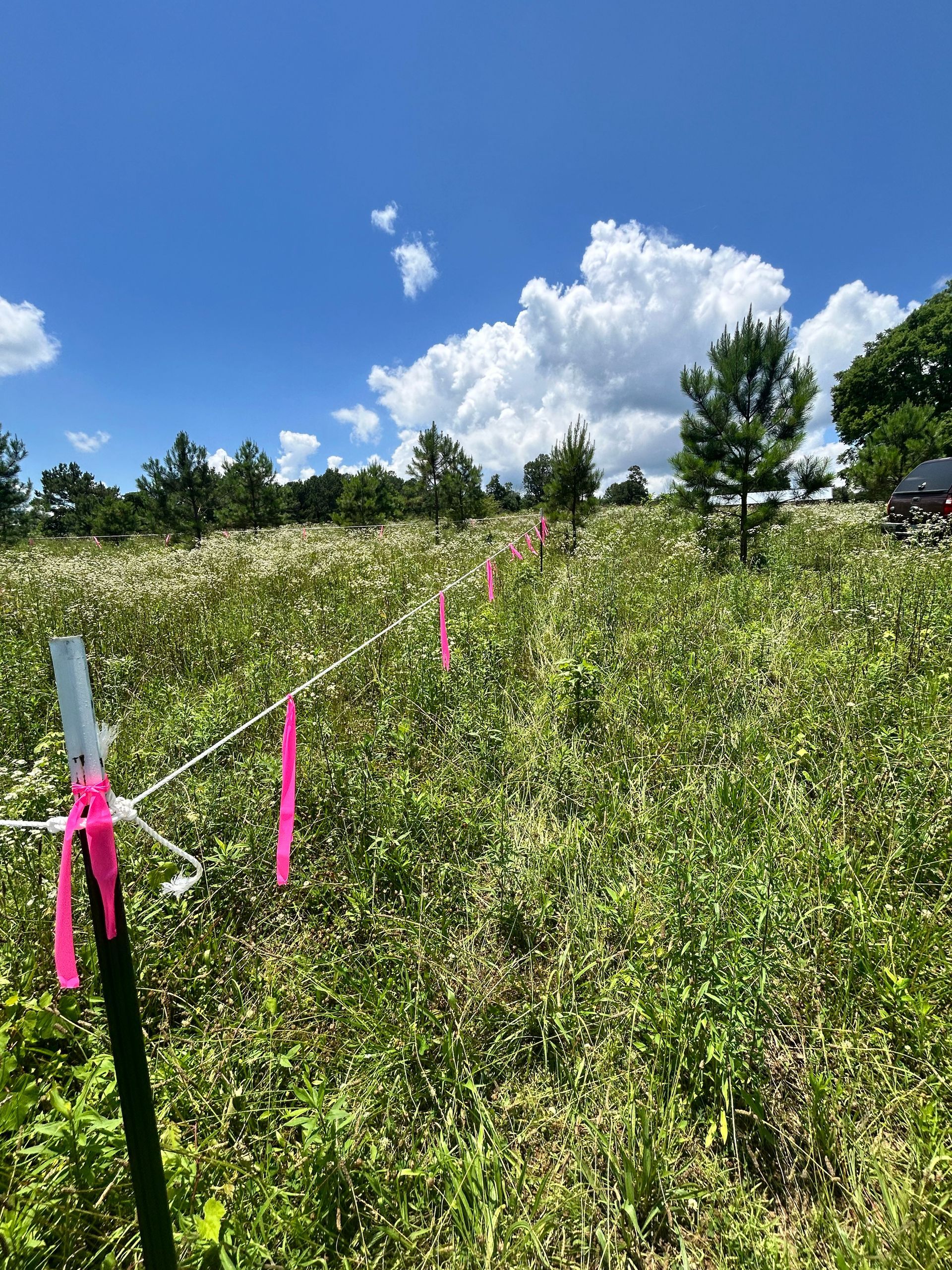 Site work underway — a septic line area sectioned off prior to construction on a Mims Custom Home Construction 