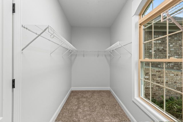 An empty walk in closet with shelves and a window. By Mims custom home construction