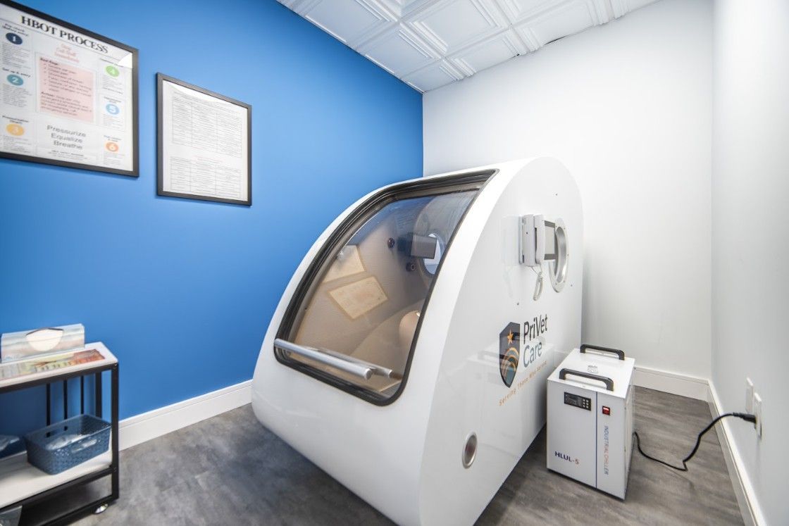Small medical chamber in a blue-and-white exam room, with wall charts and equipment nearby