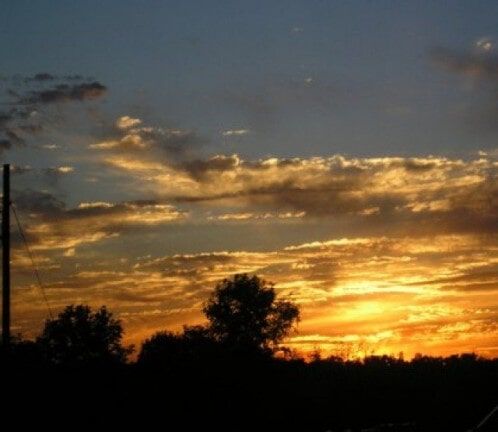 Sunset over silhouetted trees with golden clouds and a dark horizon