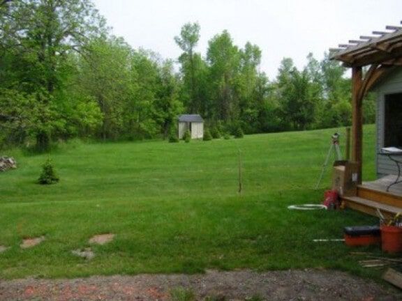 Grassy backyard with trees
