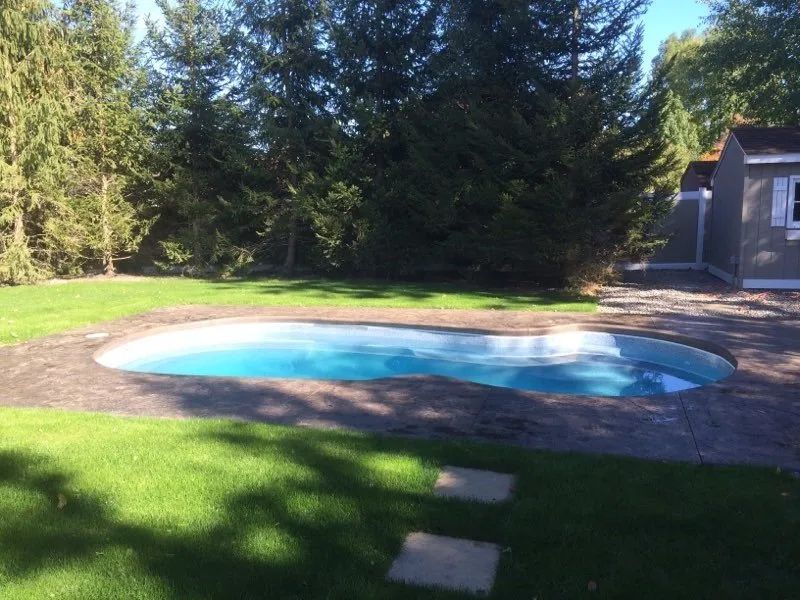 Pool with green lawn and tall trees